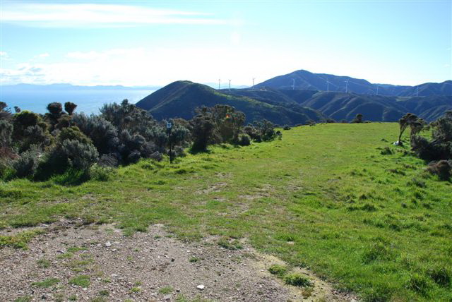 windmills viewed from Lot 7