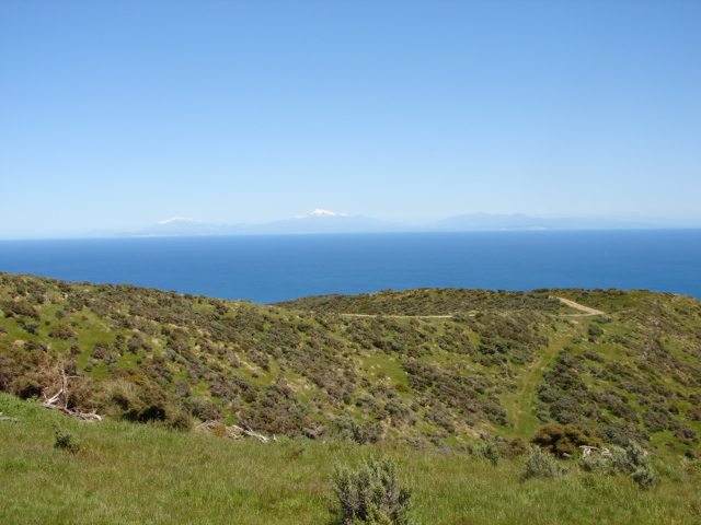 Lot 10 looking to Lot 12