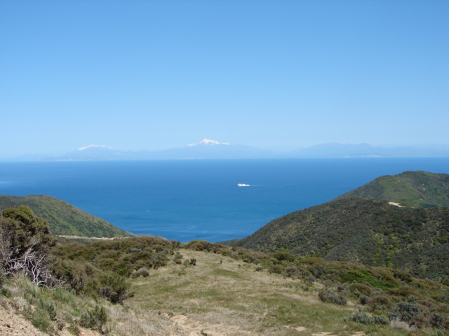 Lot 4 is in the foreground.